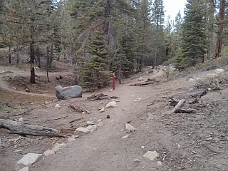 Long view of turn to Left needed to get to castle rock.