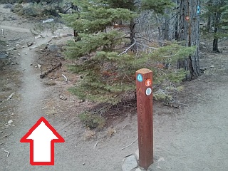 Follow the orange arrow on this post and go uphill.  Blue arrow goes to Spooner Lake.