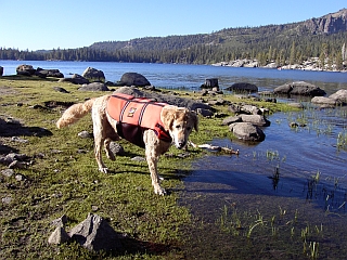 Randee on the shore of Silver Lake with life preserver