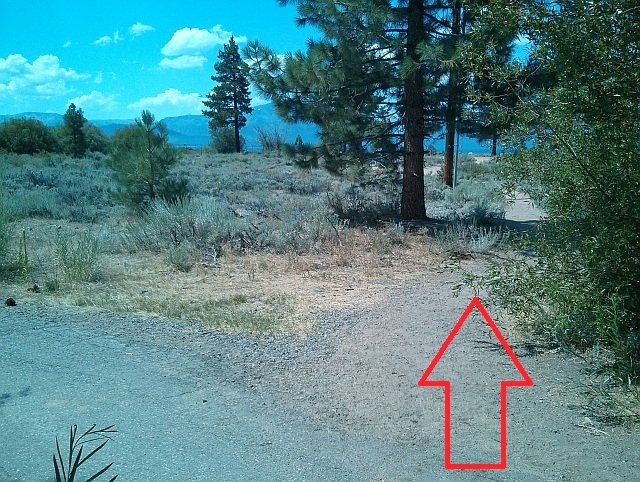 Turn right after pumping plant, leave asphalt, trail to beach