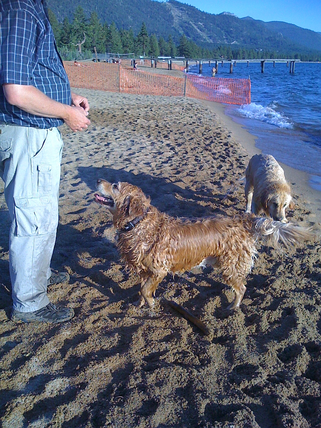 Nevada dog beach showing orange fencing and Boy Scout pier.