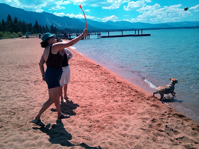 Gal throws ball to dog at beach